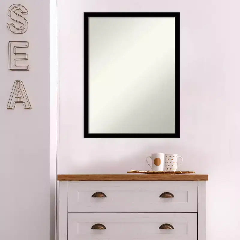 Miroir mural noir de jais, non biseauté, 20 po x 26 po